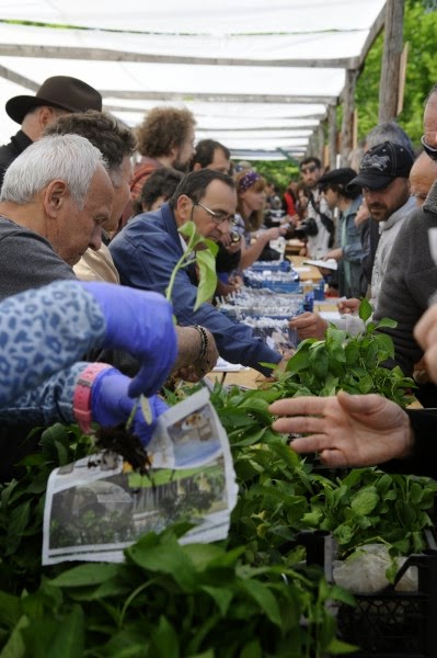 14th Annual Panhellenic Seed Exchange Festival 