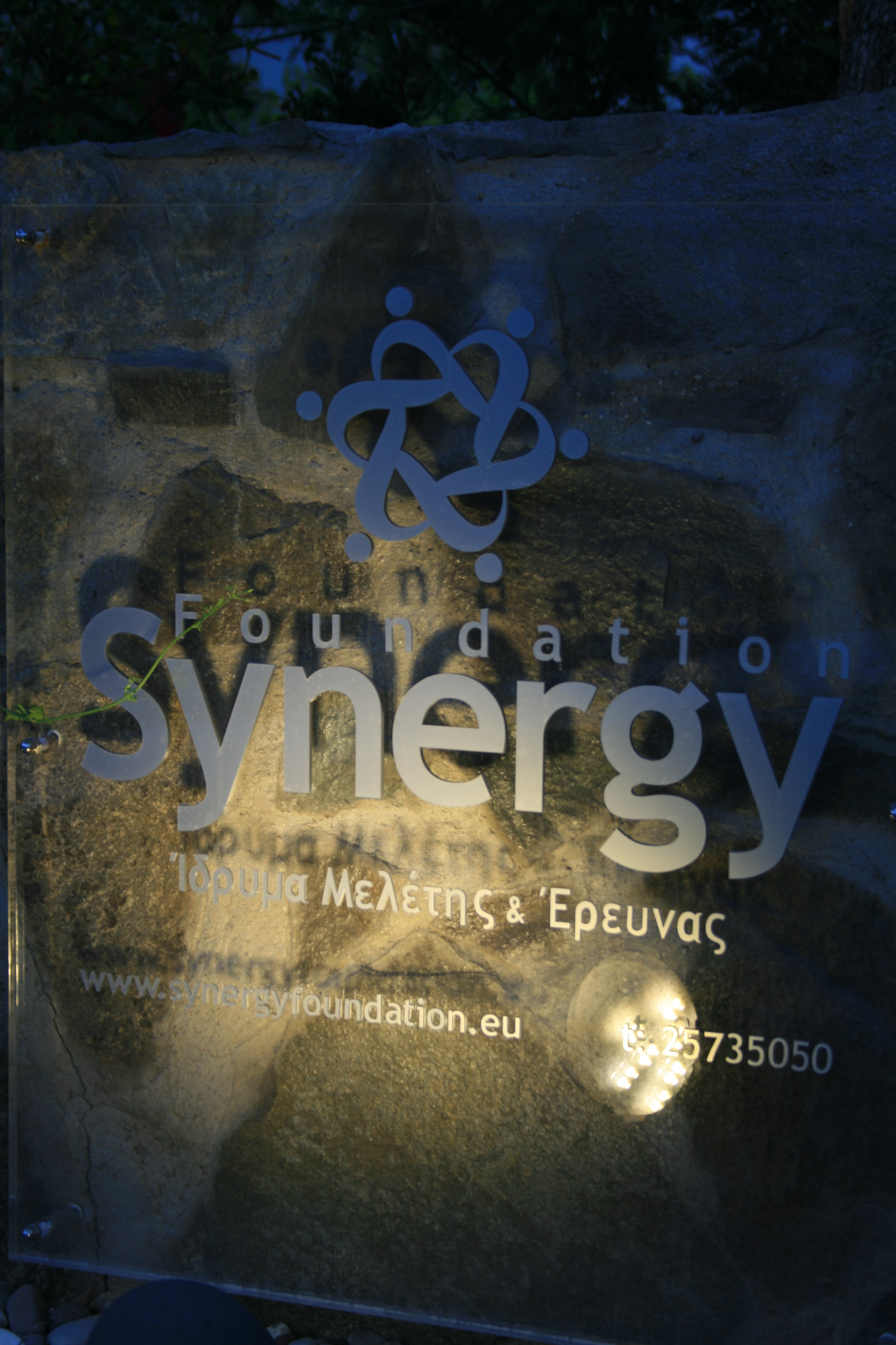 Synergy Foundation